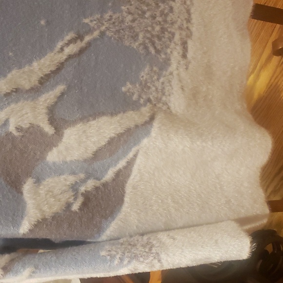 Nwt Rachel ZOE sweater 1x and 2x blue and white - Picture 5 of 14